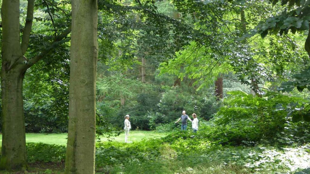 Chineng qigong groep in het park