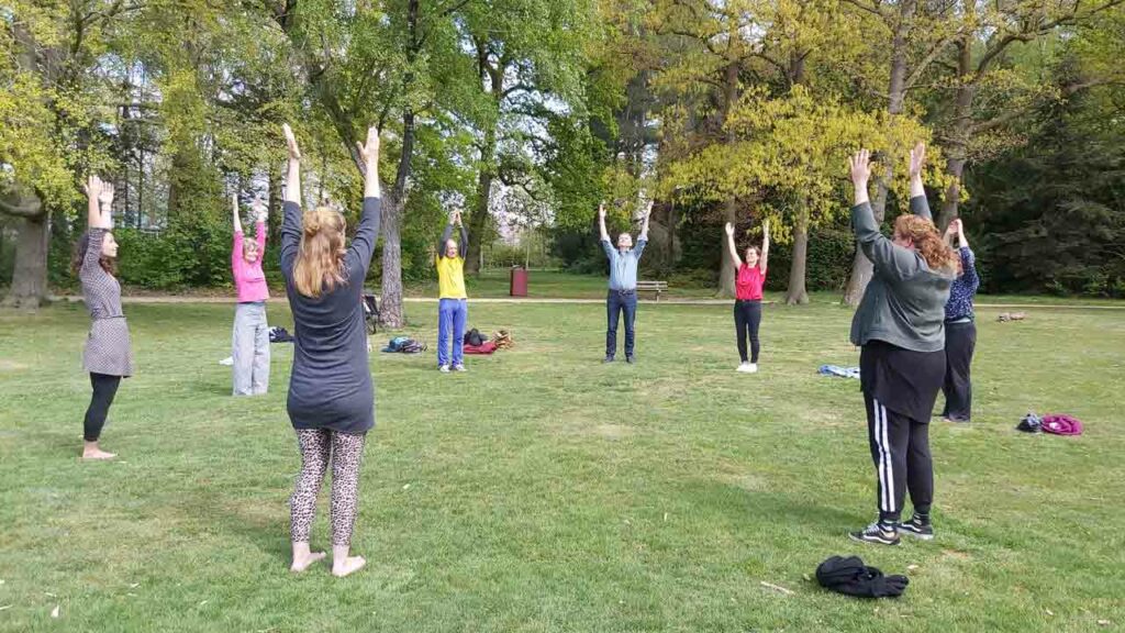 Chineng qigong groep in het gras